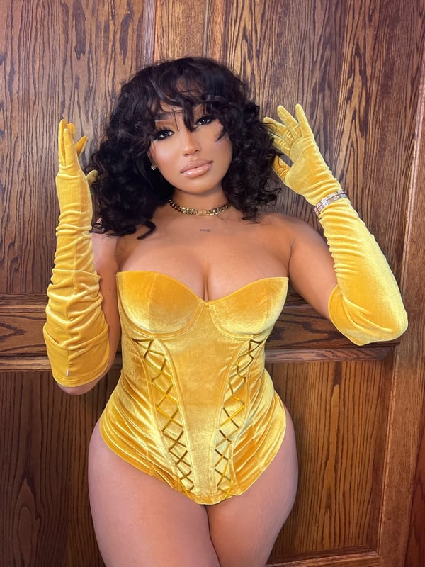 Velvet Vixen Corset