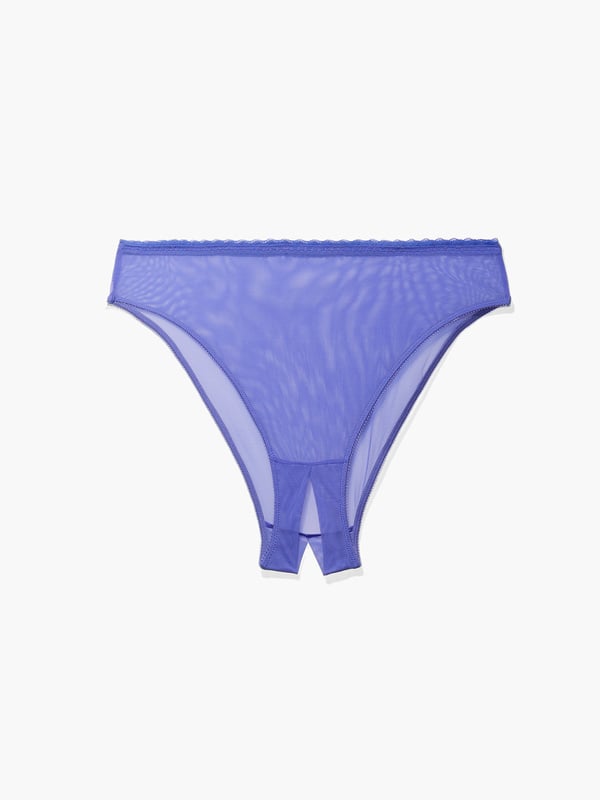 Mesh Crotchless High Leg Bikini In Purple Savage X Fenty France