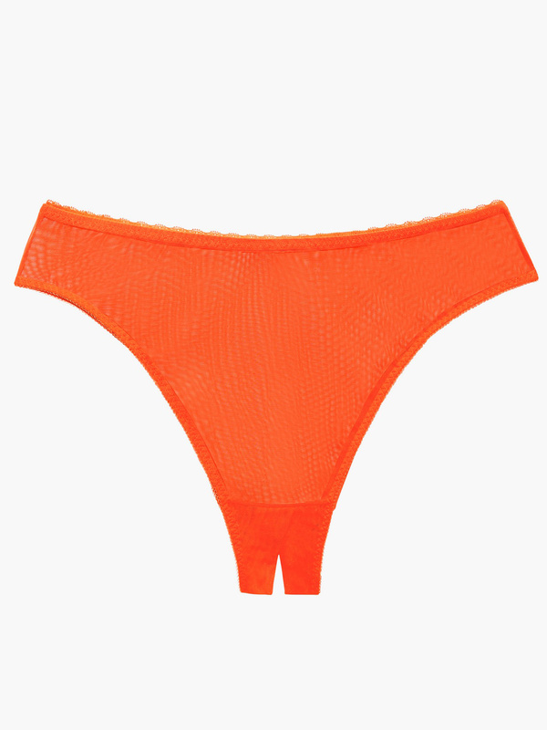 Mesh Crotchless High Leg Bikini In Red Savage X Fenty France