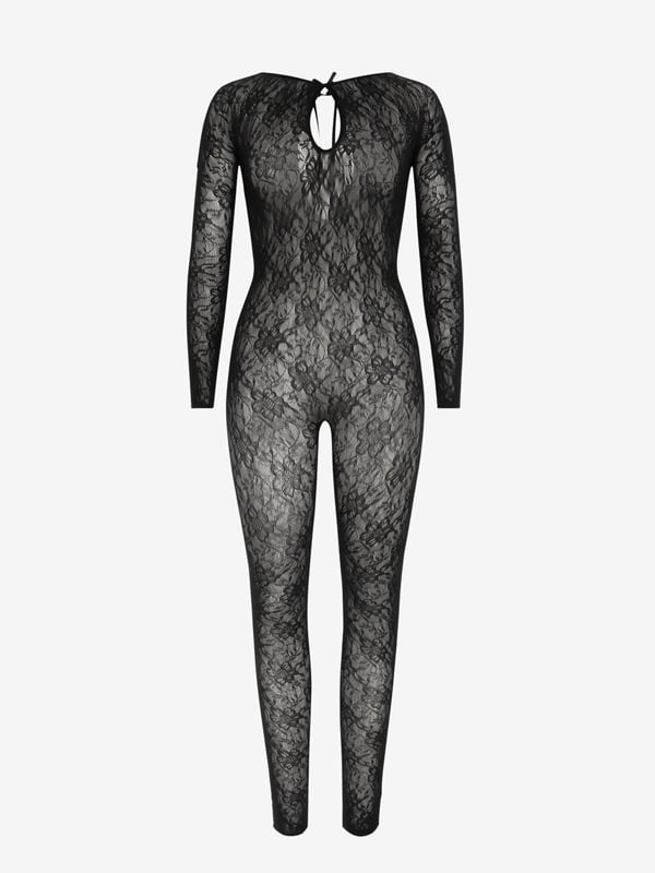 Vixen Nights Sheer Catsuit