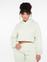 St. Louis Script Hooded Cropped Sweatshirt – Series Six