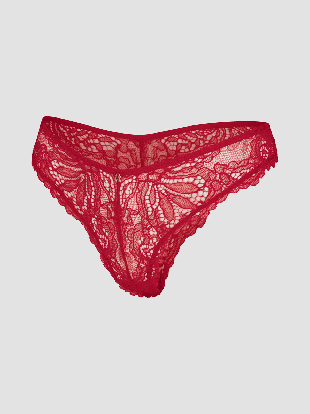 Romantic Corded Lace Brazilian Panty