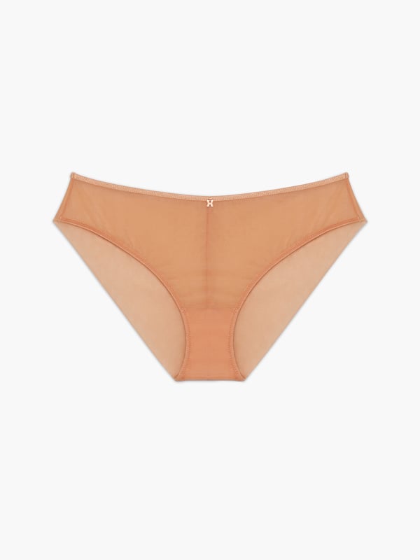 Sheer X Cheeky Panty In Nude 