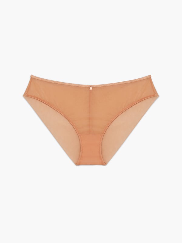 Sheer X Cheeky Panty