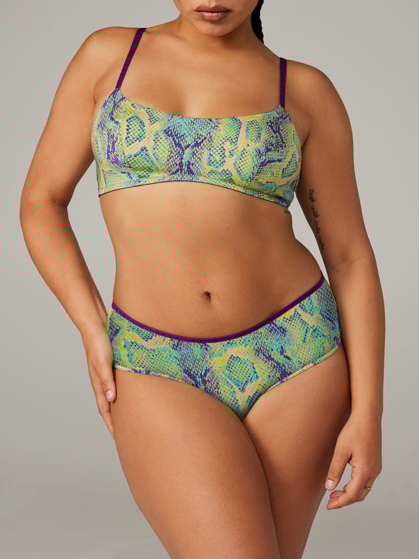 NEW Microfiber Hipster Panty