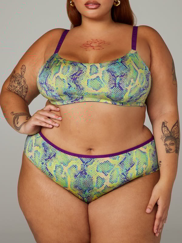 NEW Microfiber Hipster Panty