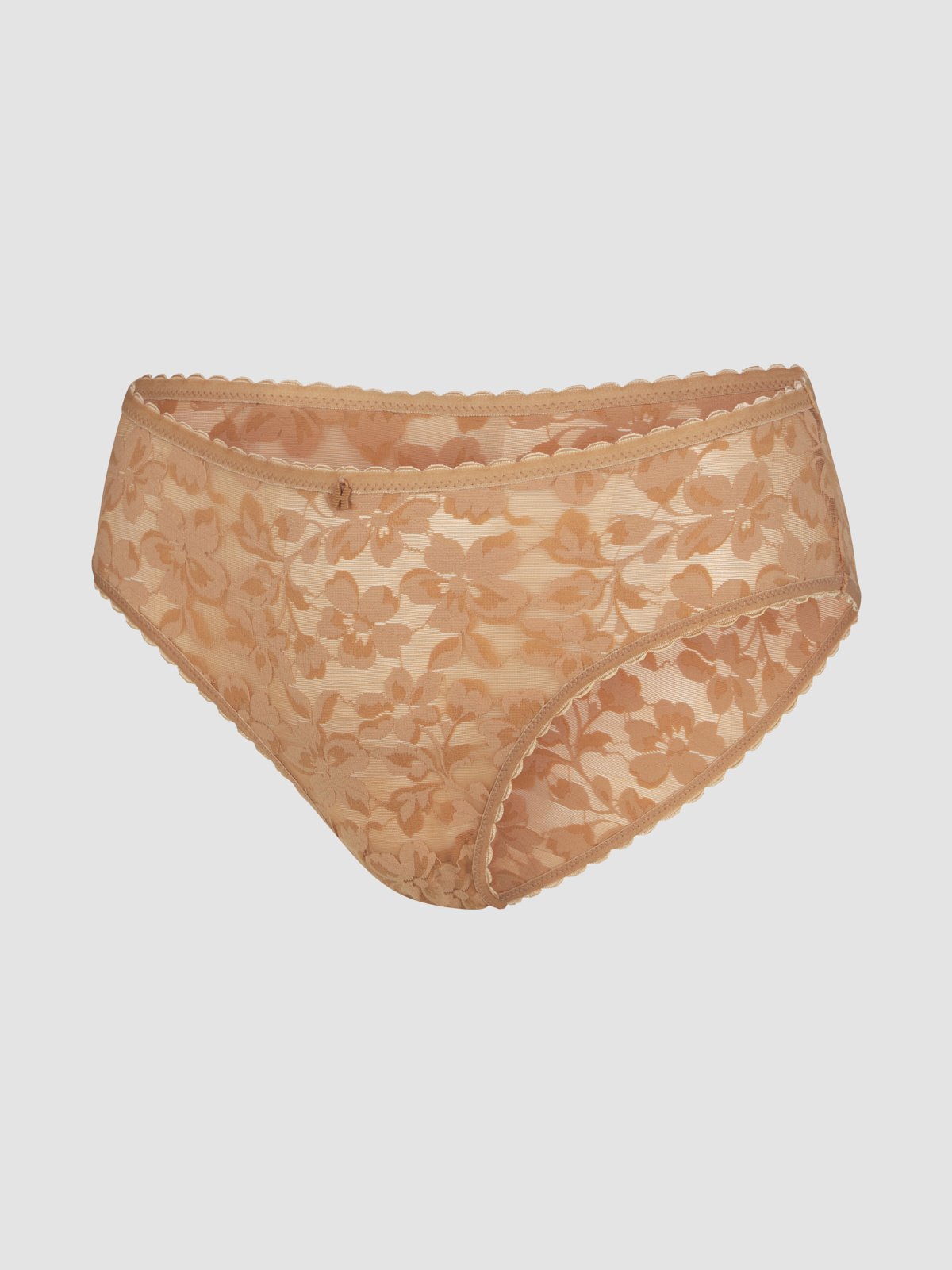 Lavish Lace Hipster Panty