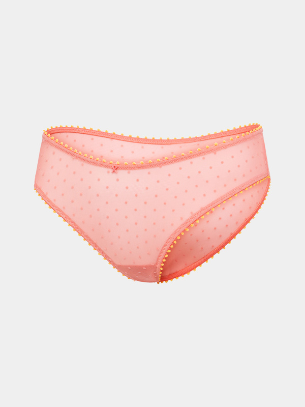Mesh Around Cheeky Panty