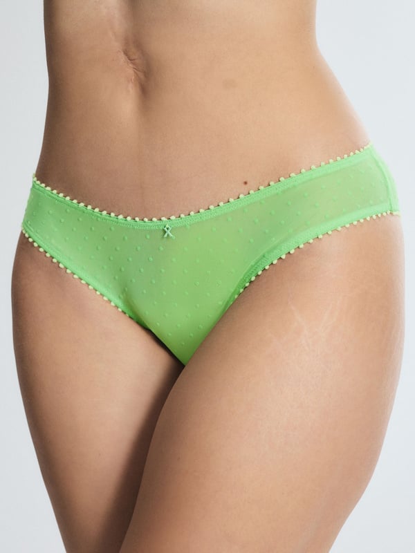 Mesh Around Cheeky Panty