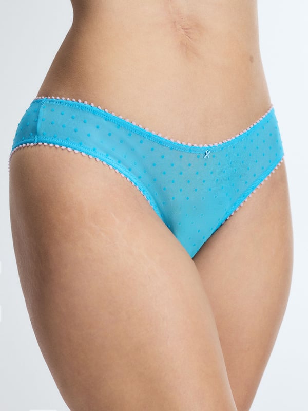 Mesh Around Cheeky Panty