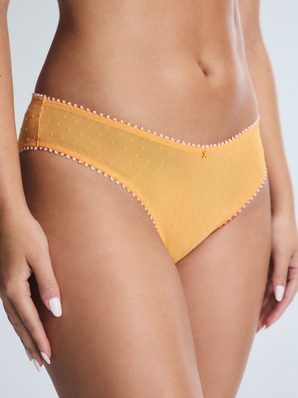 Mesh Around Cheeky Panty