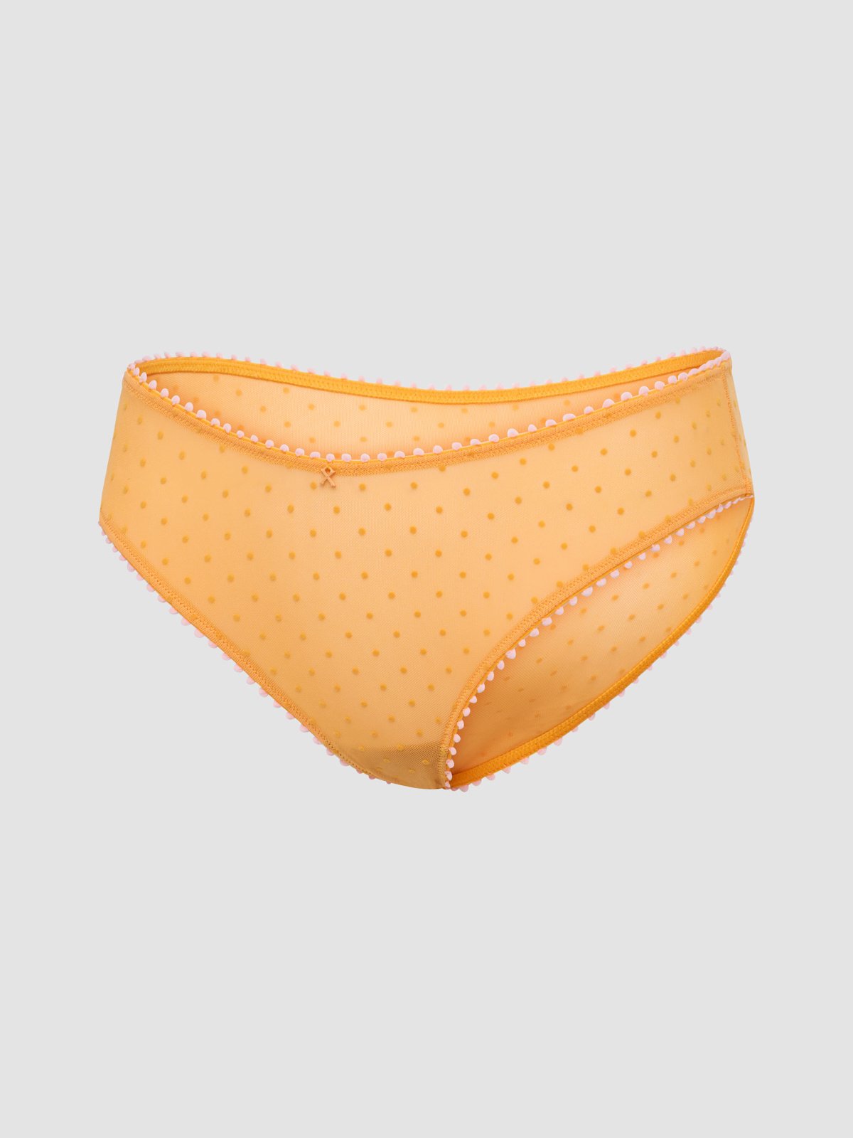 Mesh Around Cheeky Panty in Orange | SAVAGE X FENTY