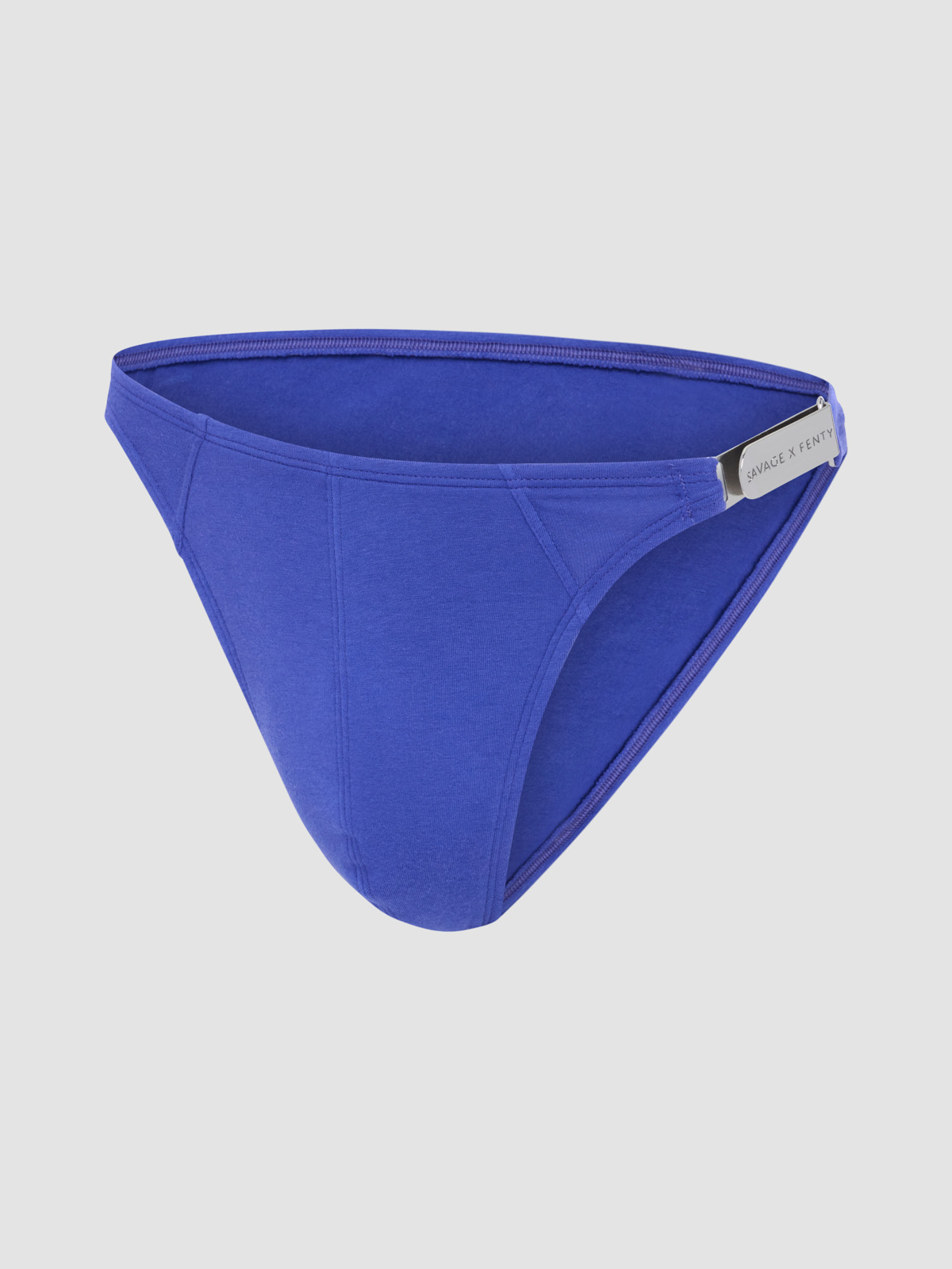 Sheer For It Bikini Briefs with Money Clip in Blue | SAVAGE X FENTY