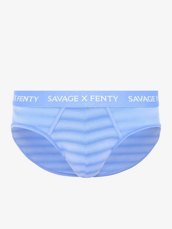 Sheer Line Briefs