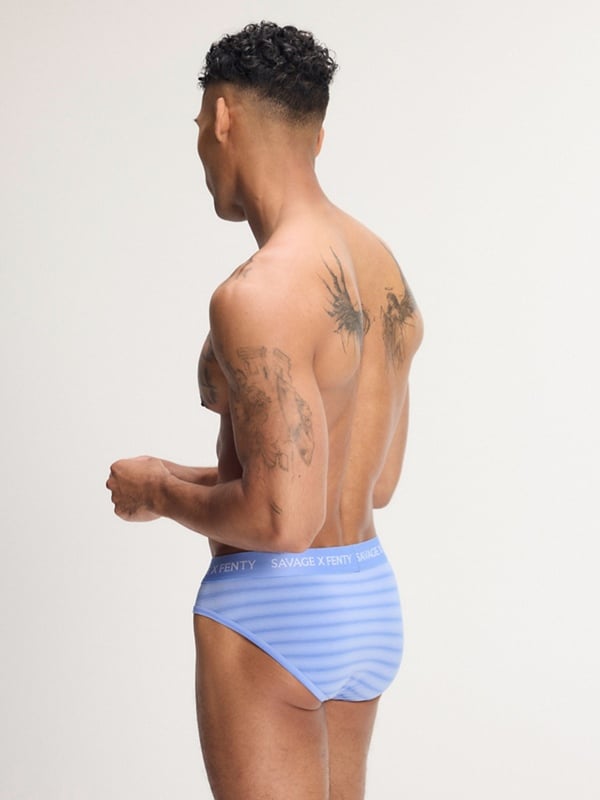 Sheer Line Briefs