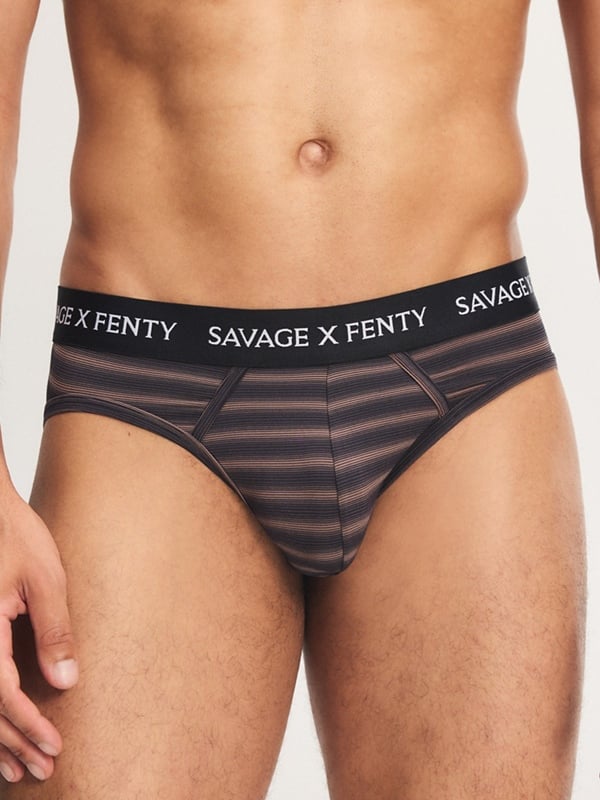 Sheer Line Briefs