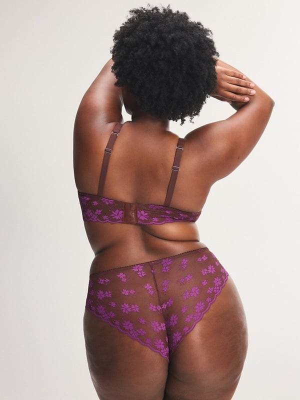 Sweet Tease Lace Cheeky Panty