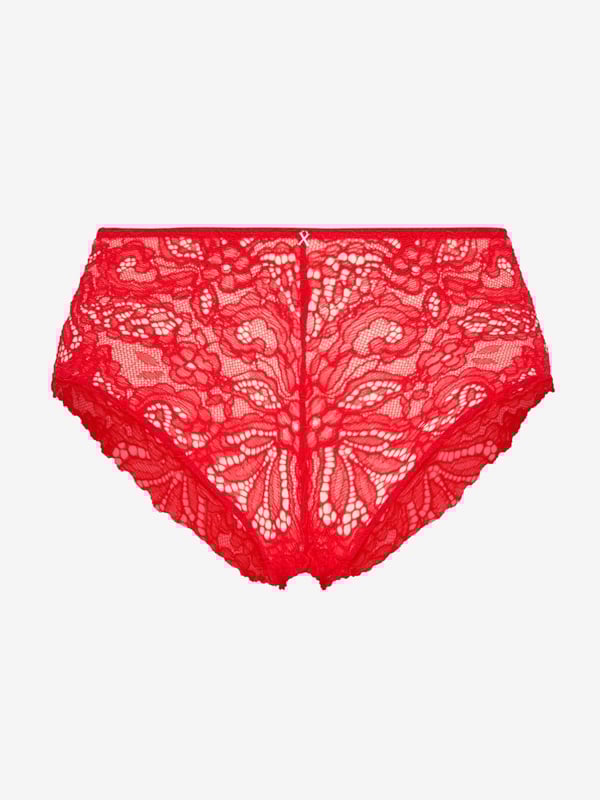 Romantic Corded Lace Hipster Panty